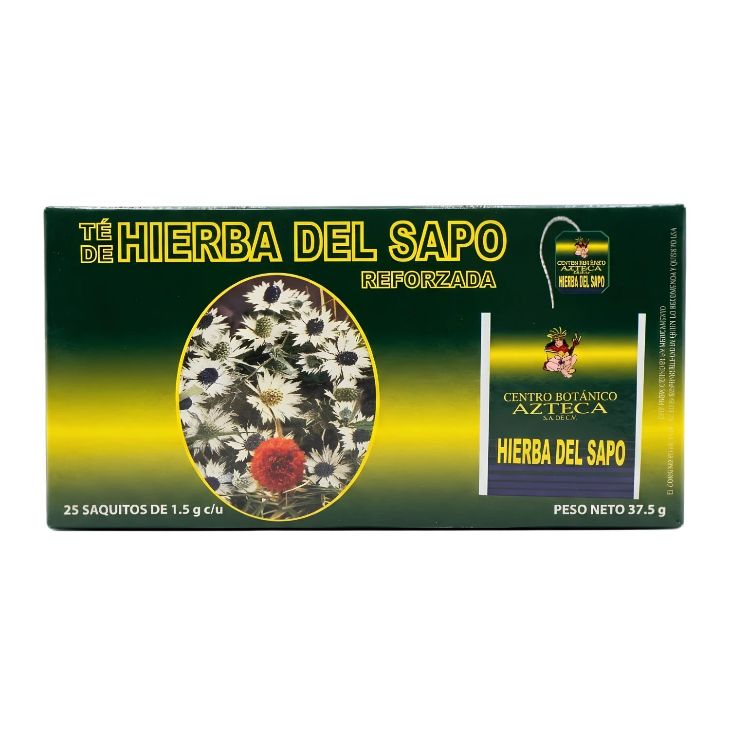 Té de Hierba del Sapo Reforzada Azteca: Control de Colesterol