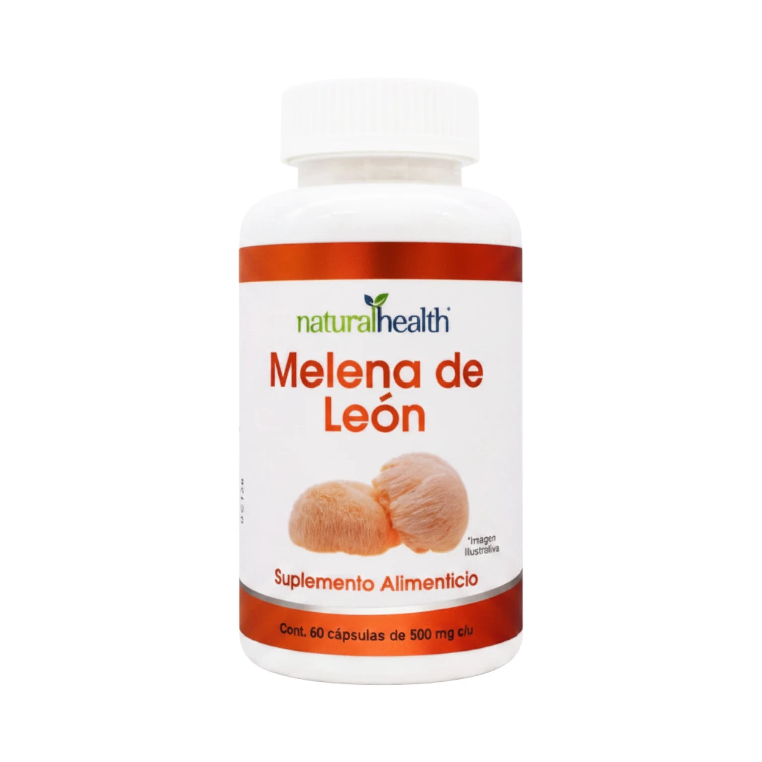 Melena de León, suplemento alimenticio, 60 cápsulas de 500 mg c/u.