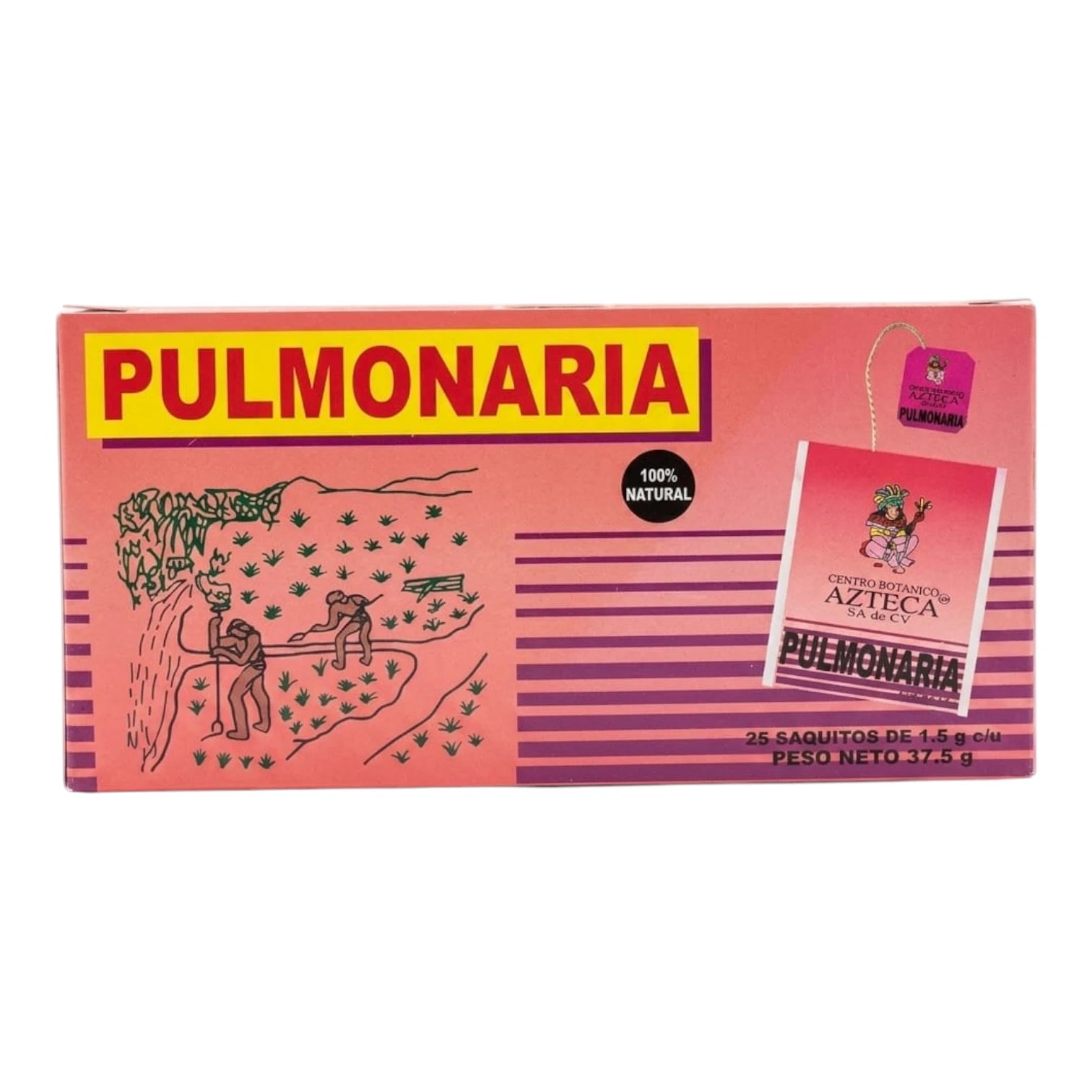 Té de Pulmonaria Natural - Apoyo Respiratorio y Bienestar Bronquial 25 Sobres